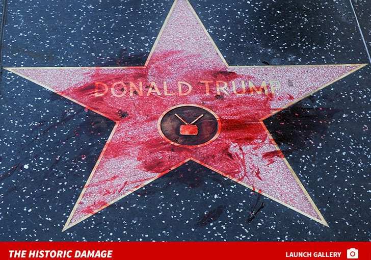 Donald Trump’s WoF Star You Will Nazi More Patrol